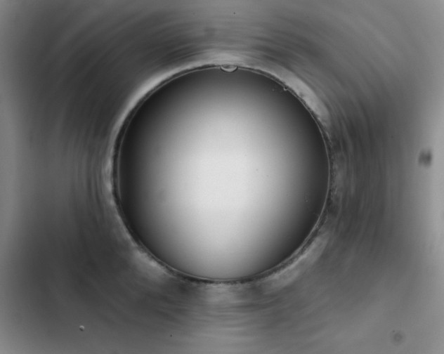 X0000102830904200808181321