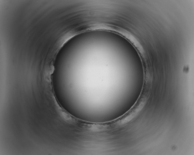 X0000102830905200808181321