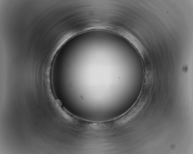 X0000102830906200808181321