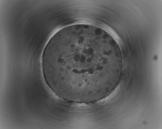 X0000102830907200808181321
