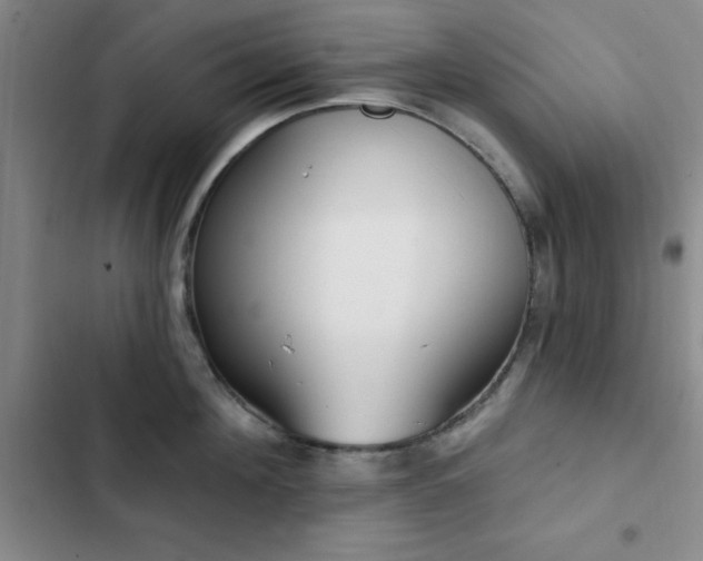 X0000102830908200808181321