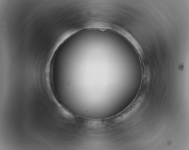 X0000102830909200808181321