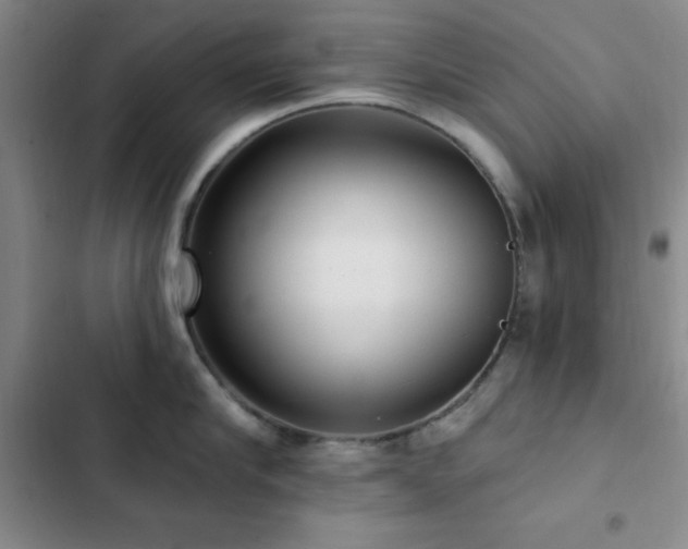 X0000102830910200808181321