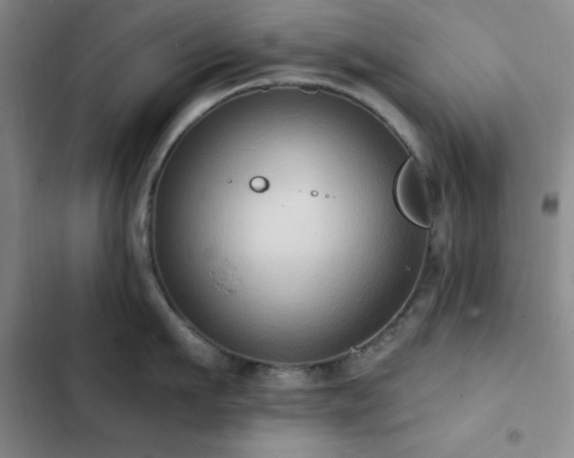 X0000102830911200808181321