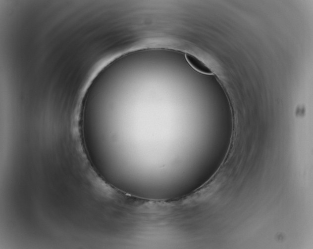X0000102830912200808181321