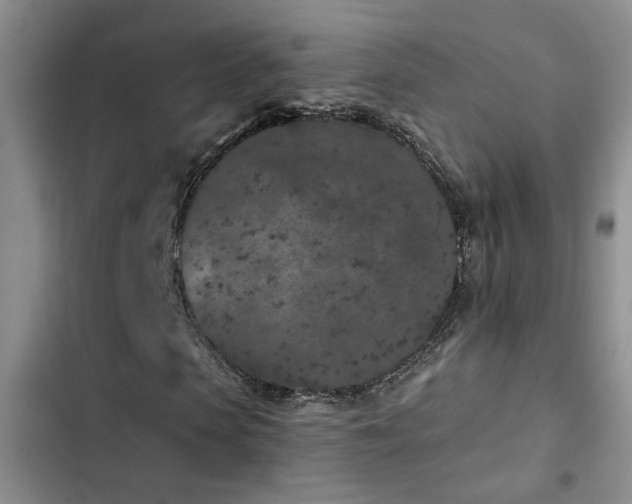 X0000102830913200808181320