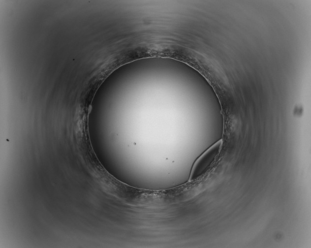 X0000102830914200808181320