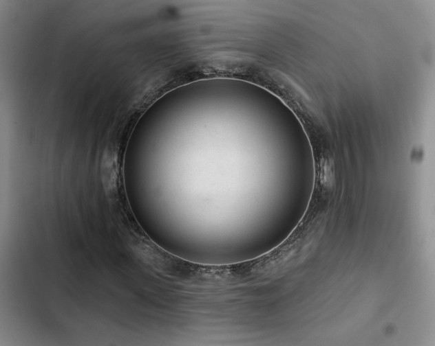 X0000102830915200808181320