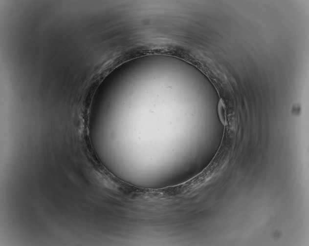 X0000102830916200808181320
