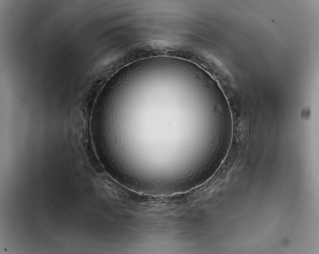 X0000102830917200808181320