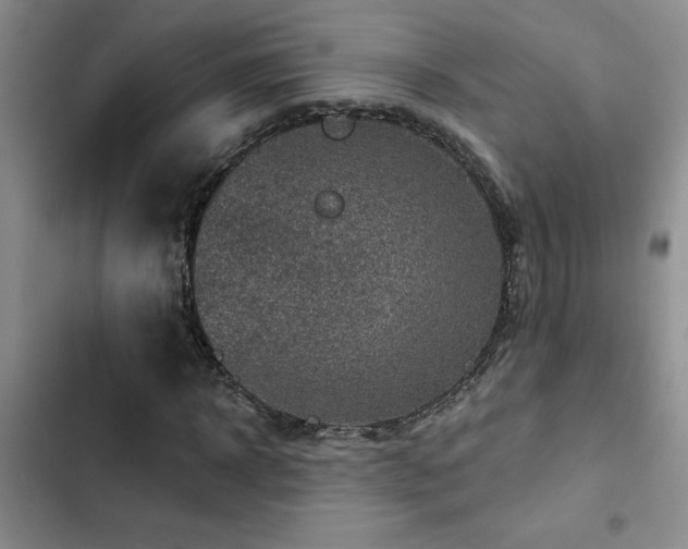 X0000102830918200808181320