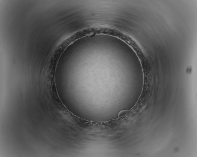 X0000102830919200808181320