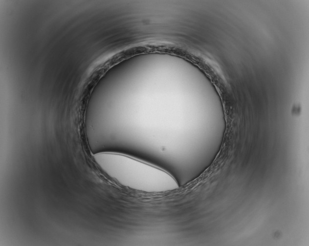 X0000102830920200808181320