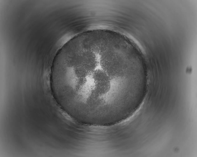X0000102830921200808181320