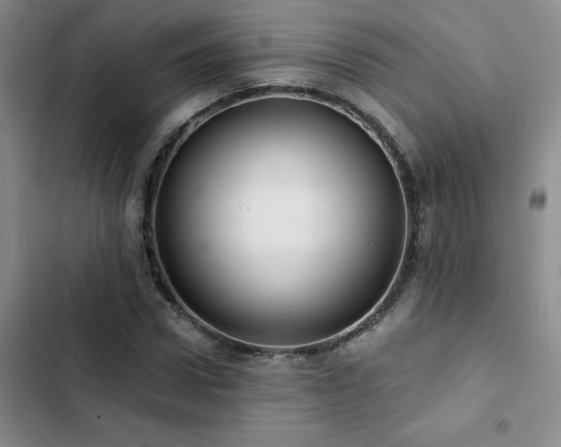 X0000102830922200808181320