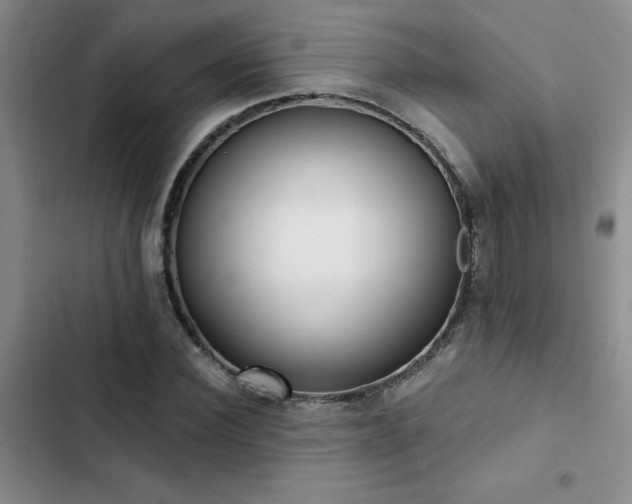 X0000102830924200808181320