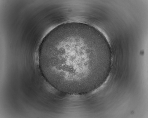 X0000102830925200808181320