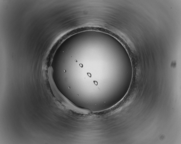 X0000102830926200808181320