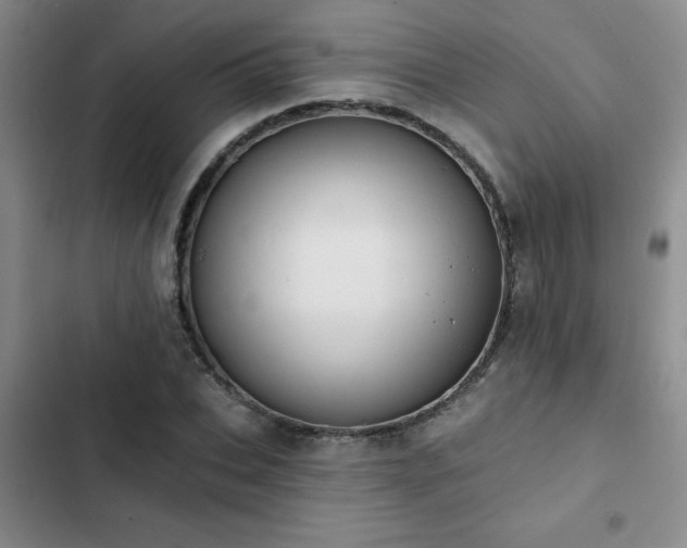 X0000102830927200808181320