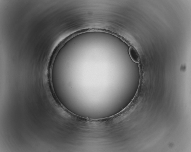 X0000102830928200808181320