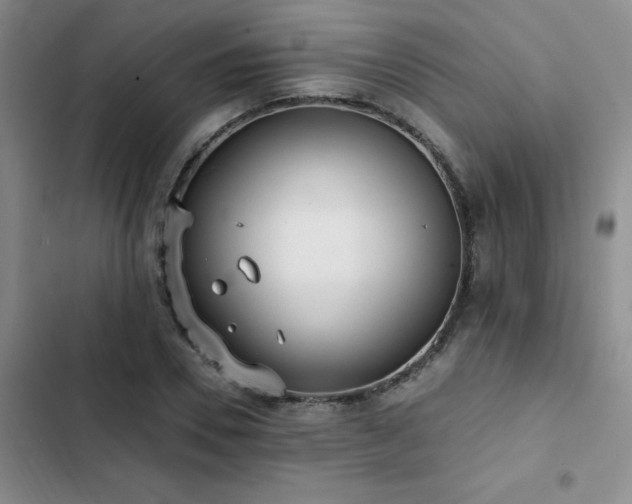 X0000102830930200808181320
