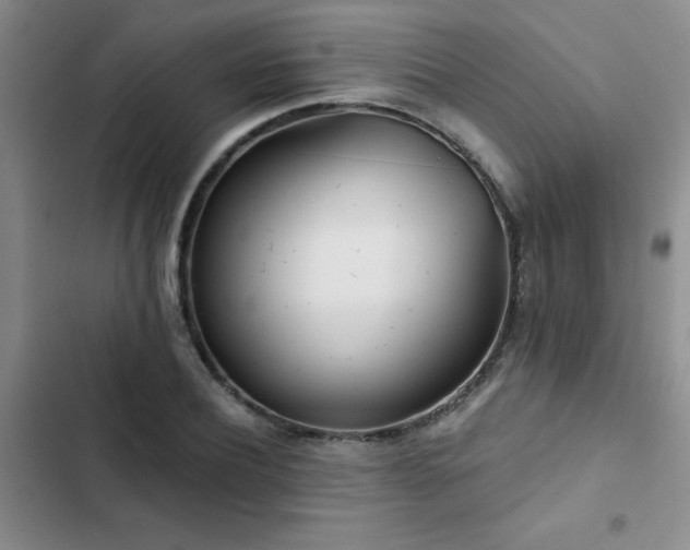 X0000102830932200808181320