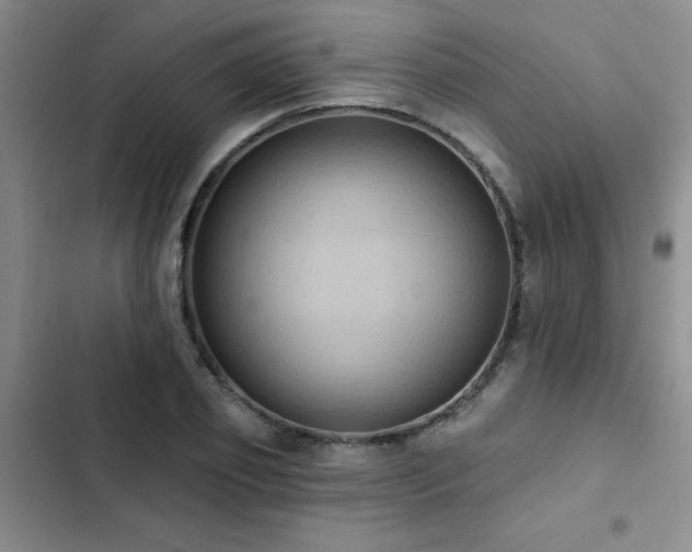 X0000102830933200808181320