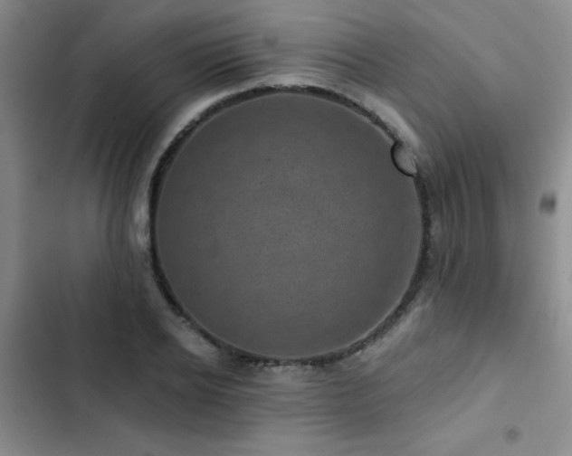 X0000102830934200808181321