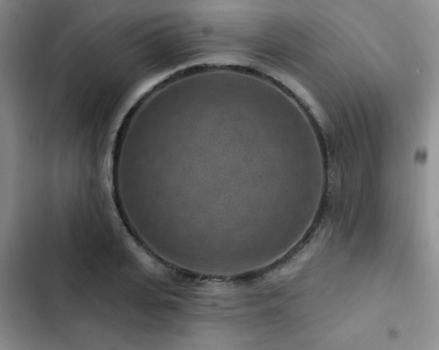 X0000102830935200808181321