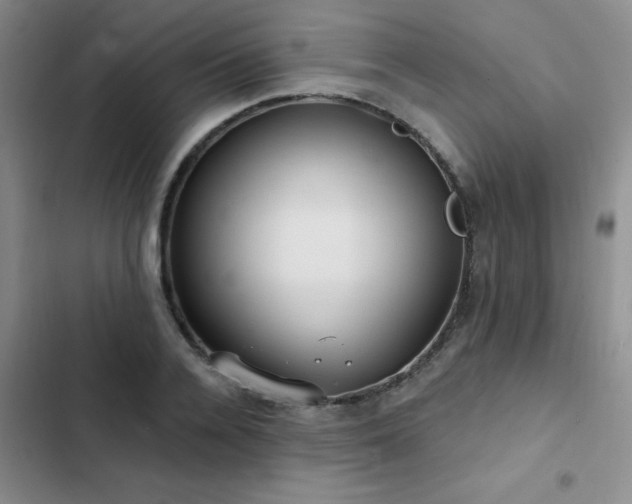 X0000102830936200808181321