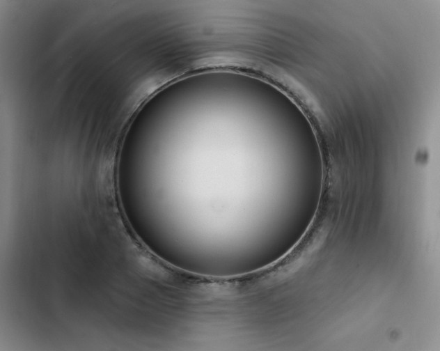 X0000102830937200808181321