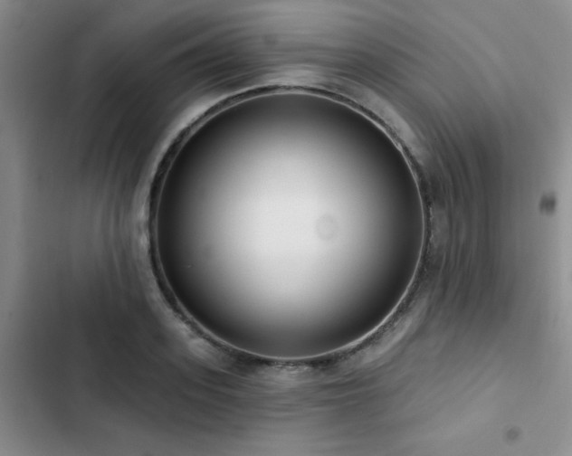 X0000102830939200808181321