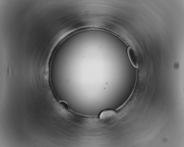 X0000102830940200808181321