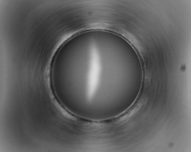 X0000102830941200808181321