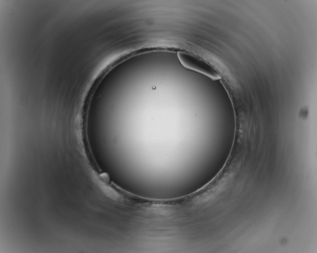 X0000102830942200808181321