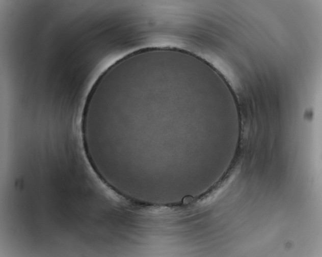 X0000102830943200808181321