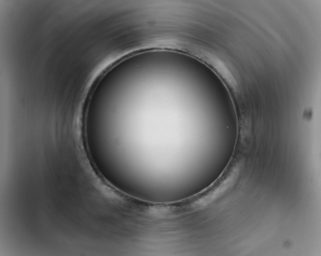 X0000102830944200808181321