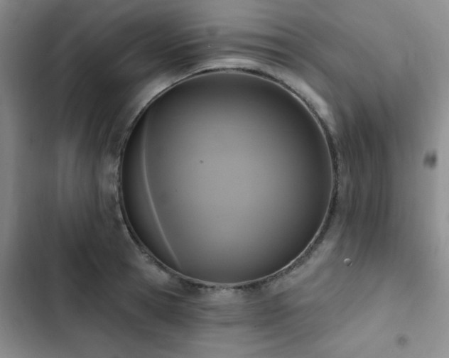 X0000102830945200808181321