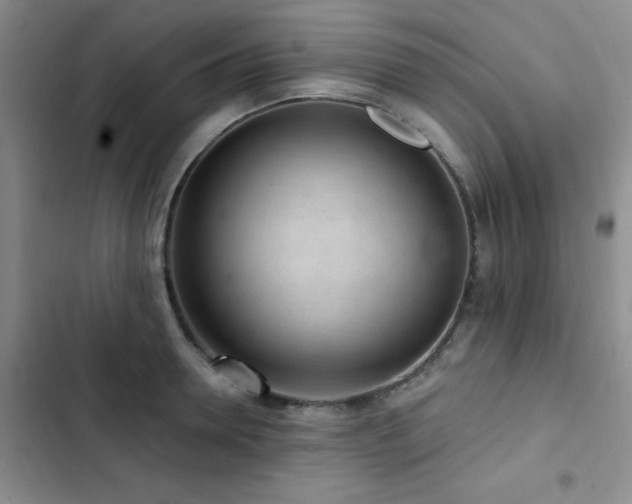 X0000102830946200808181321