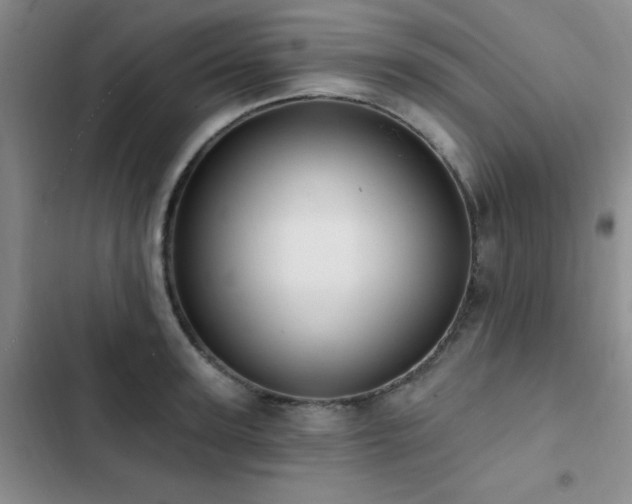 X0000102830947200808181321