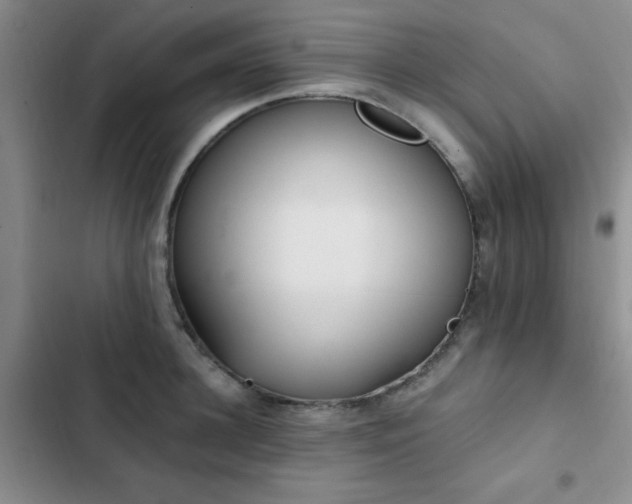 X0000102830948200808181321