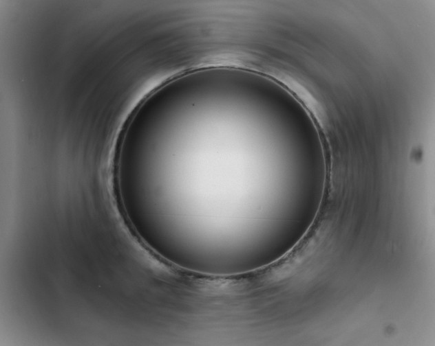 X0000102830949200808181321
