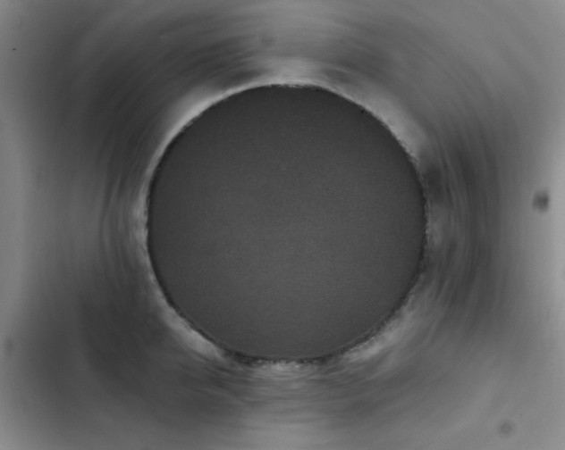 X0000102830950200808181321
