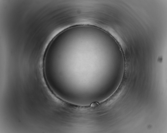 X0000102830951200808181321