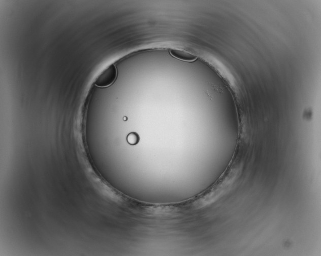 X0000102830952200808181321