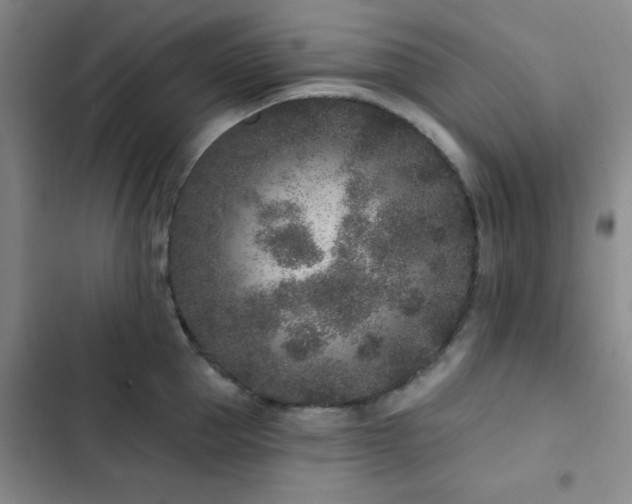 X0000102830953200808181321
