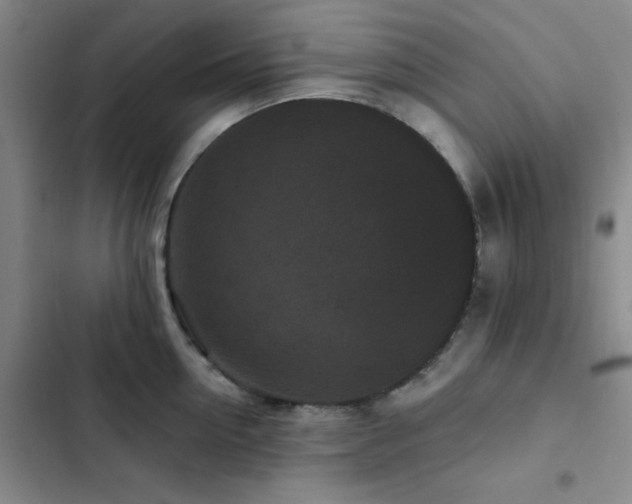 X0000102830954200808181321