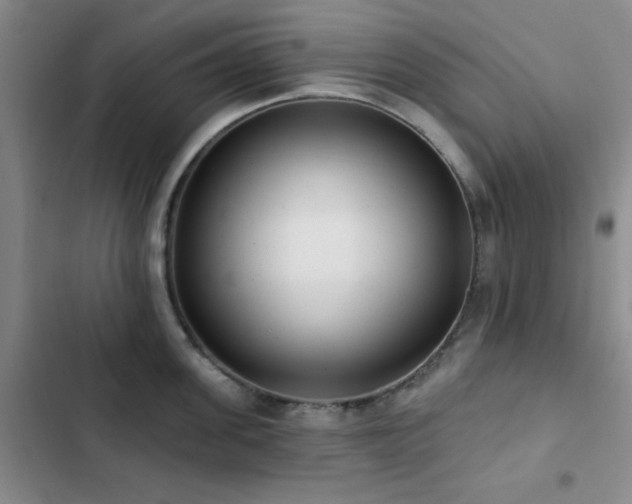 X0000102830955200808181321