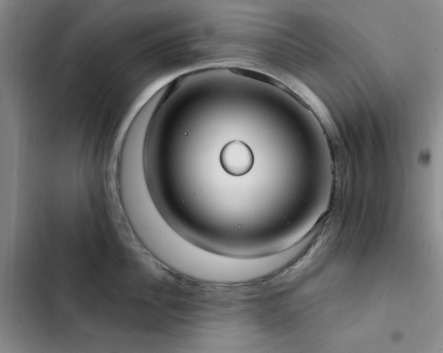 X0000102830956200808181321
