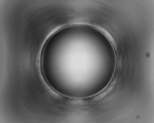 X0000102830957200808181321